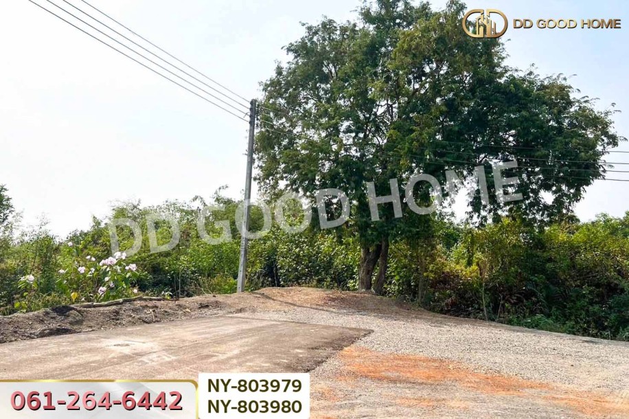 ที่ดินบ้านใหม่ 9 ไร่ 381 ตร.ว. ฉะเชิงเทรา ใกล้วัดป่าอนันตชัย-4