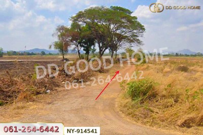 ที่ดินบึงสามพัน 100 ตร.ว. เพชรบูรณ์ ใกล้วัดบึงสามพันล่าง.