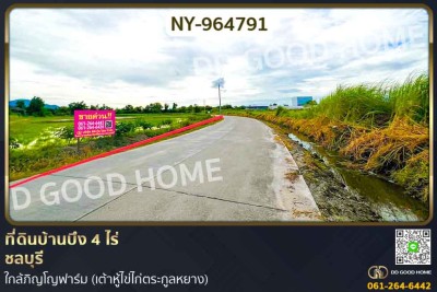 ที่ดินบ้านบึง 4 ไร่ ชลบุรี ใกล้ภิญโญฟาร์ม (เต้าหู้ไข่ไก่ตระกูลหยาง)