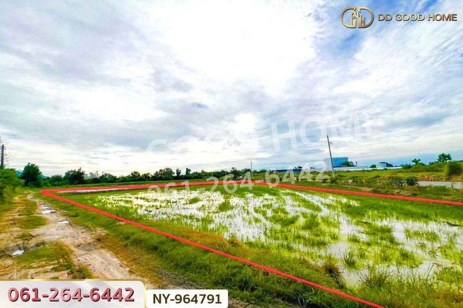 ที่ดินบ้านบึง 4 ไร่ ชลบุรี ใกล้ภิญโญฟาร์ม (เต้าหู้ไข่ไก่ตระกูลหยาง)-7