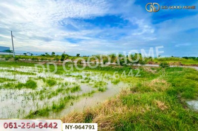 ที่ดินบ้านบึง 4 ไร่ ชลบุรี ใกล้ภิญโญฟาร์ม (เต้าหู้ไข่ไก่ตระกูลหยาง)