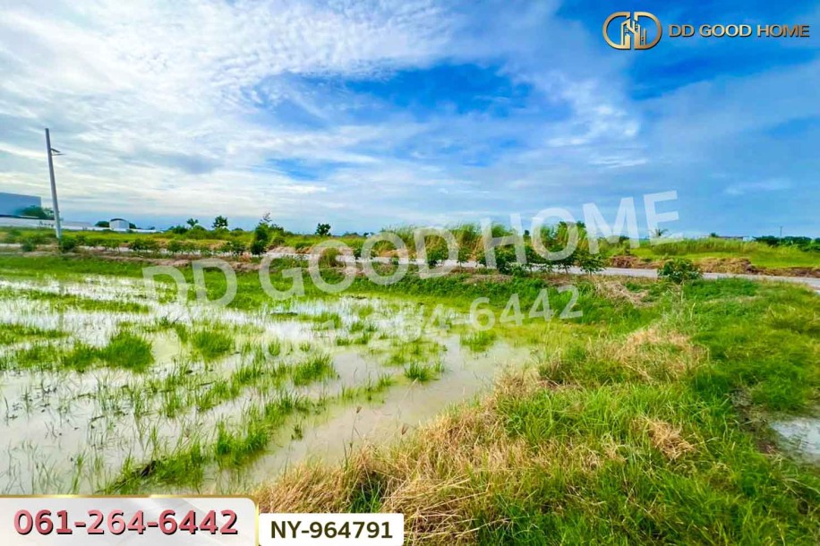 ที่ดินบ้านบึง 4 ไร่ ชลบุรี ใกล้ภิญโญฟาร์ม (เต้าหู้ไข่ไก่ตระกูลหยาง)-6
