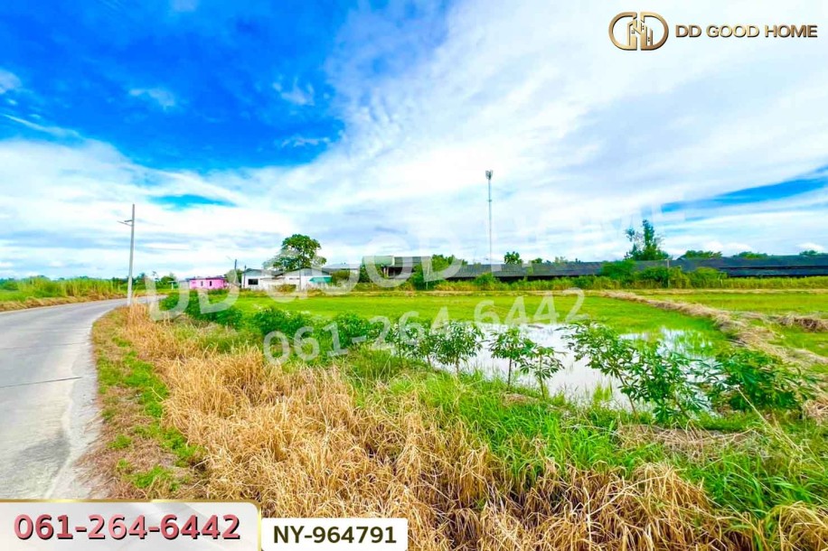 ที่ดินบ้านบึง 4 ไร่ ชลบุรี ใกล้ภิญโญฟาร์ม (เต้าหู้ไข่ไก่ตระกูลหยาง)-5
