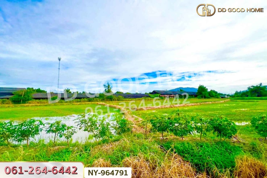 ที่ดินบ้านบึง 4 ไร่ ชลบุรี ใกล้ภิญโญฟาร์ม (เต้าหู้ไข่ไก่ตระกูลหยาง)-4