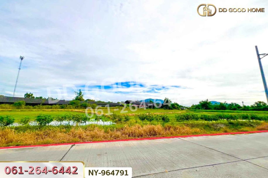 ที่ดินบ้านบึง 4 ไร่ ชลบุรี ใกล้ภิญโญฟาร์ม (เต้าหู้ไข่ไก่ตระกูลหยาง)-2