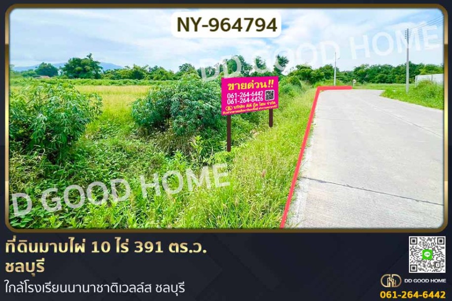 ที่ดินมาบไผ่ 10 ไร่ 391 ตร.ว. ชลบุรี ใกล้โรงเรียนนานาชาติเวลล์ส ชลบุรี-1