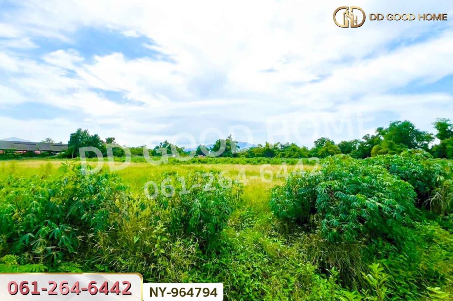 ที่ดินมาบไผ่ 10 ไร่ 391 ตร.ว. ชลบุรี ใกล้โรงเรียนนานาชาติเวลล์ส ชลบุรี-4