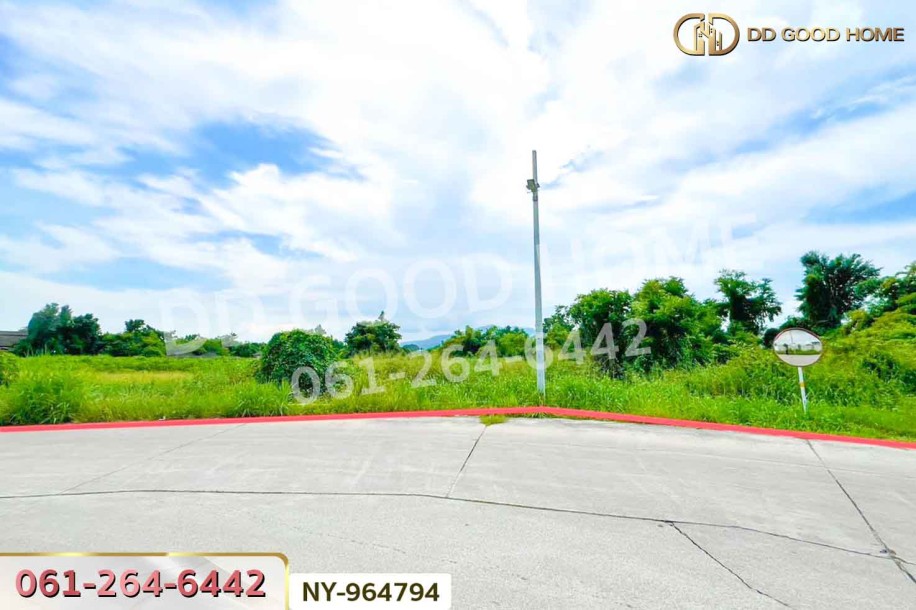 ที่ดินมาบไผ่ 10 ไร่ 391 ตร.ว. ชลบุรี ใกล้โรงเรียนนานาชาติเวลล์ส ชลบุรี-3