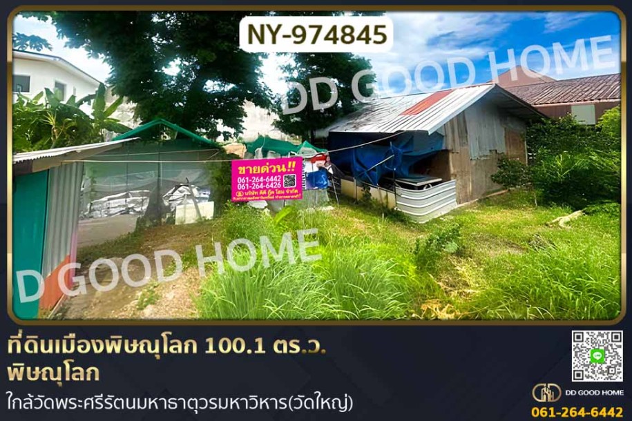 ที่ดินเมืองพิษณุโลก 100.1 ตร.ว. พิษณุโลก ใกล้วัดพระศรีรัตนมหาธาตุวรมหาวิหาร(วัดใหญ่)-1