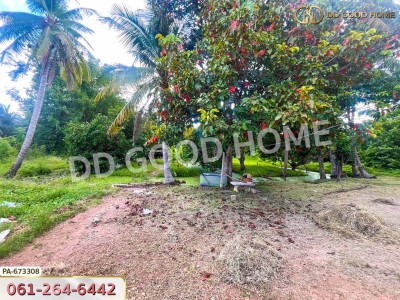 ที่ดิน โพธาราม ราชบุรี 3 ไร่ 129 ตร.ว. ใกล้วัดเขาช่องพราน