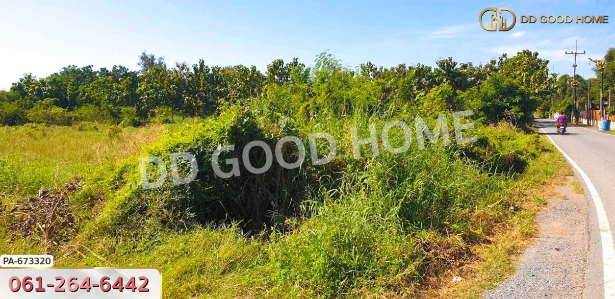 ที่ดินท่าช้าง 5 ไร่ 31.3 ตร.ว. สิงห์บุรี ใกล้โรงเรียนท่าช้างวิทยาคาร.-3