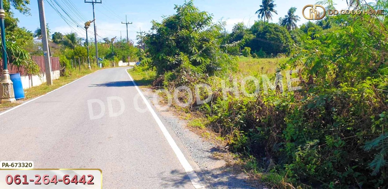 ที่ดินท่าช้าง 5 ไร่ 31.3 ตร.ว. สิงห์บุรี ใกล้โรงเรียนท่าช้างวิทยาคาร.-5