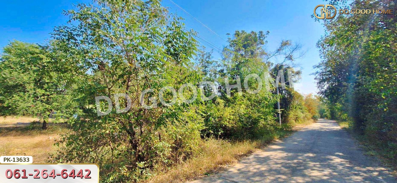 ที่ดิน อ.เขาย้อย 4 ไร่ 294 ตร.ว. เพชรบุรี-8