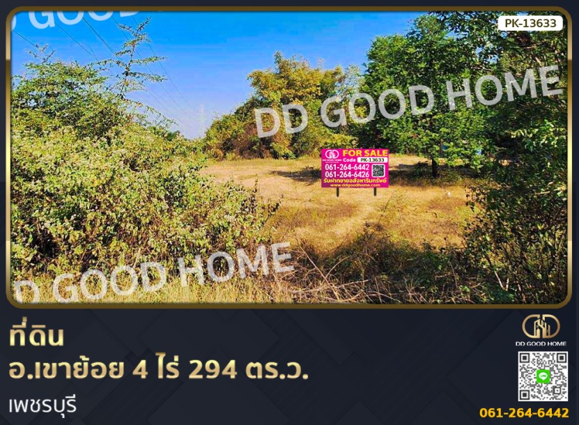 ที่ดิน อ.เขาย้อย 4 ไร่ 294 ตร.ว. เพชรบุรี-1