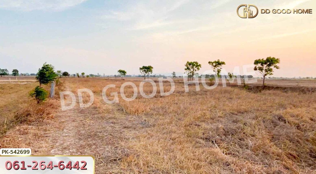 ที่ดิน อ.อู่ทอง 4 ไร่ สุพรรณบุรี-2