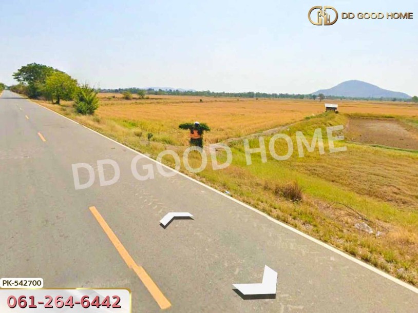 ที่ดิน อ.มโนรมย์ 98 ไร่ 334.1 ตร.ว. ชัยนาท-8