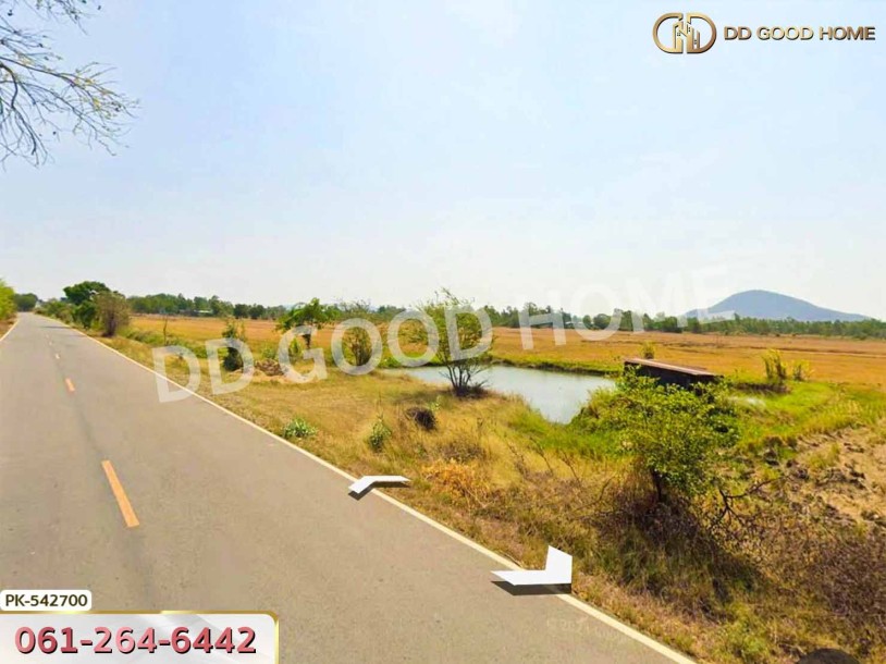 ที่ดิน อ.มโนรมย์ 98 ไร่ 334.1 ตร.ว. ชัยนาท-7