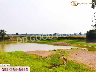 ที่ดิน อ.มโนรมย์ 98 ไร่ 334.1 ตร.ว. ชัยนาท-4