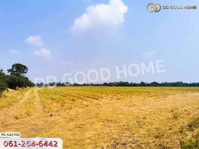 ที่ดิน อ.มโนรมย์ 98 ไร่ 334.1 ตร.ว. ชัยนาท-2