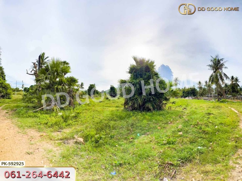 ที่ดิน ปราณบุรี 4 ไร่ ประจวบคีรีขันธ์-5