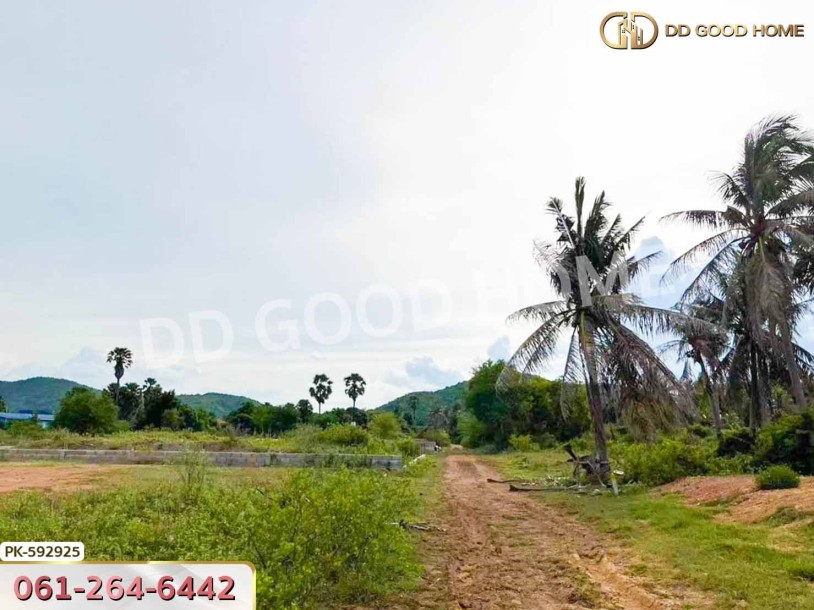 ที่ดิน ปราณบุรี 4 ไร่ ประจวบคีรีขันธ์-6
