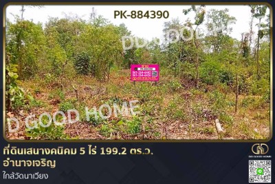 ที่ดินเสนางคนิคม 5 ไร่ 199.2 ตร.ว. อำนาจเจริญ ใกล้วัดนาเวียง