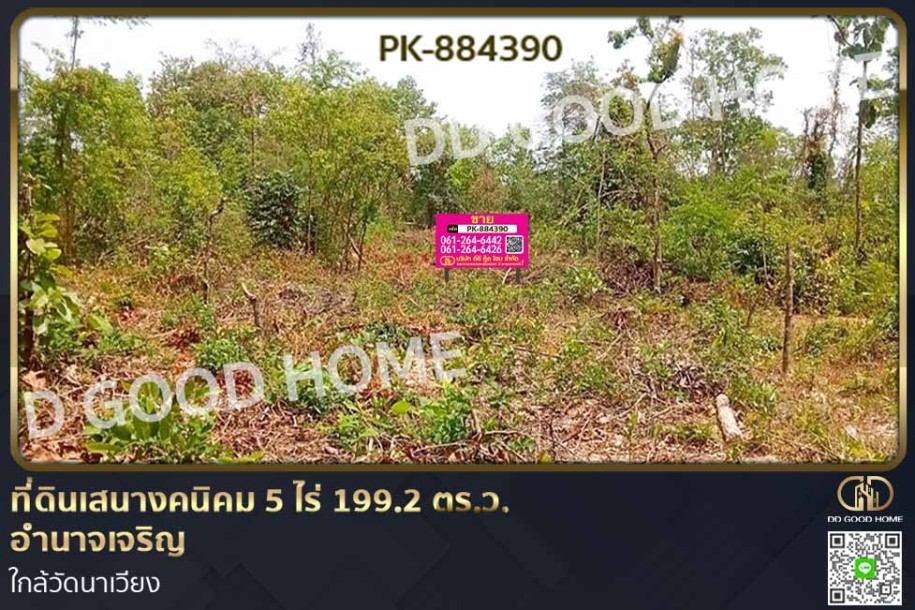 ที่ดินเสนางคนิคม 5 ไร่ 199.2 ตร.ว. อำนาจเจริญ ใกล้วัดนาเวียง-1