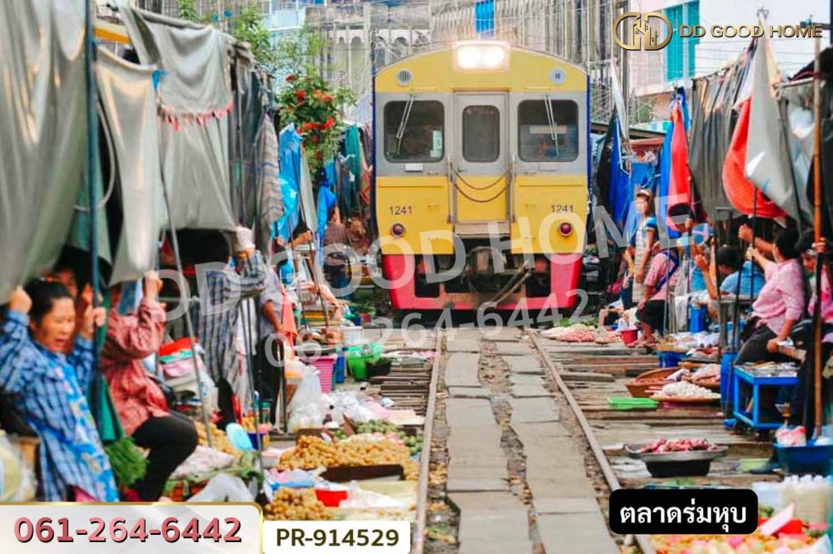 ที่ดินลาดใหญ่ 5 ไร่ 23 ตร.ว. สมุทรสงคราม ใกล้วัดลาดเป้ง-2