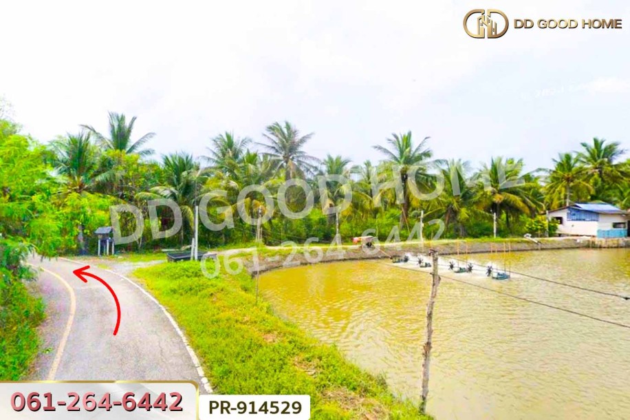 ที่ดินลาดใหญ่ 5 ไร่ 23 ตร.ว. สมุทรสงคราม ใกล้วัดลาดเป้ง-6