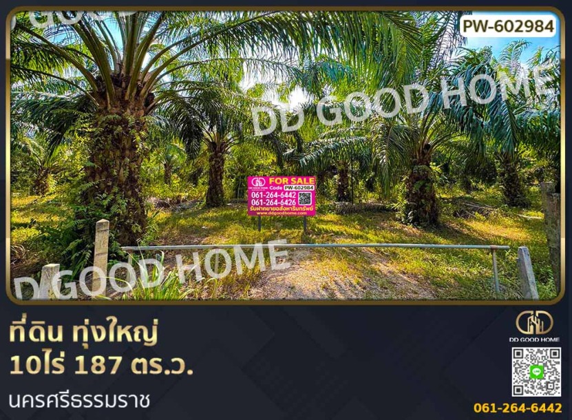 ที่ดิน ทุ่งใหญ่ 10 ไร่ 187 ตร.ว. นครศรีธรรมราช-1