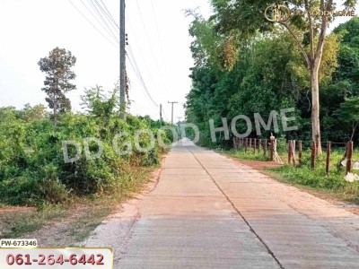 ที่ดินเมืองหนองคาย 8 ไร่ 170 ตร.ว. ใกล้วัดป่าวิทูนโพธิ์