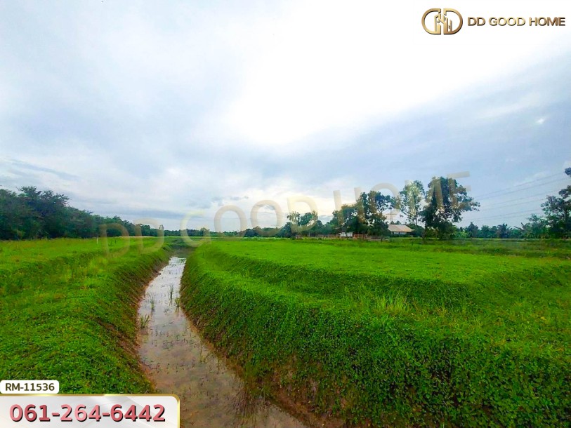 ที่ดินเปล่า 2 ไร่ 190 ตร.ว. ต.คลองขวาง อ.ไทรน้อย-4