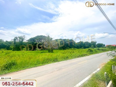 ที่ดินเปล่า 82 ตร.ว. ต.มหาสวัสดิ์ อ.พุทธมณฑล