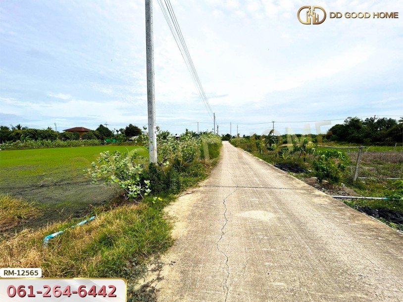 ที่ดินเปล่า 198.9 ตร.ว. ต.หนองเพรางาย อ.ไทรน้อย-2