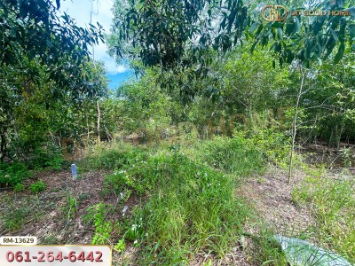 ที่ดินบ้านโพธิ์ 401 ตร.ว. โครงการสนามกอล์ฟบางปะกงริเวอร์ไซด์ ฉะเชิงเทรา-2