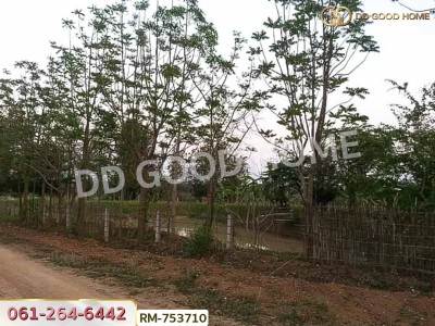 ที่ดิน 1 ไร่ 376 ตร.ว. โครงการภูหินวิวรีสอร์ท เพชรบูรณ์-7