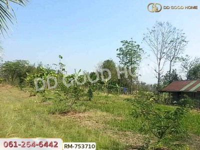 ที่ดิน 1 ไร่ 376 ตร.ว. โครงการภูหินวิวรีสอร์ท เพชรบูรณ์-6