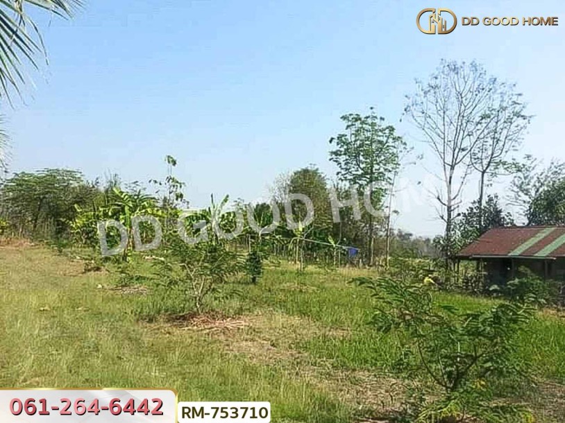 ที่ดิน 1 ไร่ 376 ตร.ว. โครงการภูหินวิวรีสอร์ท เพชรบูรณ์-6