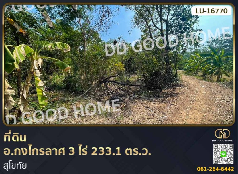 ที่ดิน ต.บ้านกร่าง อ.กงไกรลาส 3 ไร่ 233.1 ตร.ว. สุโขทัย-1