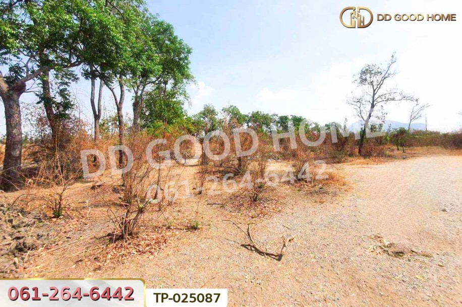 ที่ดินโคกสำโรง 3 ไร่ 33.1 ตร.ว. ลพบุรี ใกล้วัดเขาวงพระจันทร์-8