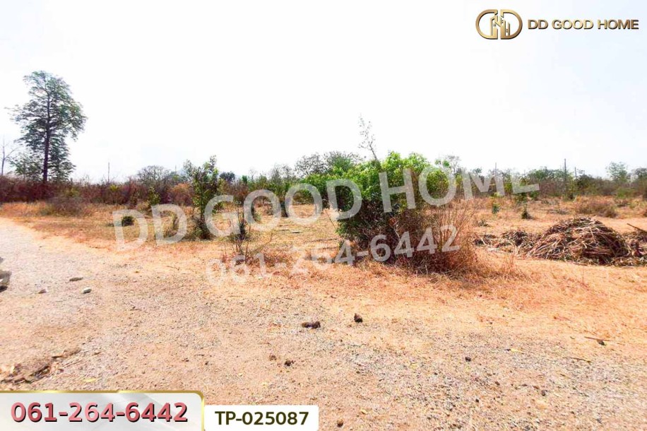 ที่ดินโคกสำโรง 3 ไร่ 33.1 ตร.ว. ลพบุรี ใกล้วัดเขาวงพระจันทร์-7