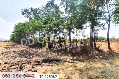 ที่ดินโคกสำโรง 3 ไร่ 33.1 ตร.ว. ลพบุรี ใกล้วัดเขาวงพระจันทร์