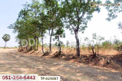 ที่ดินโคกสำโรง 3 ไร่ 33.1 ตร.ว. ลพบุรี ใกล้วัดเขาวงพระจันทร์