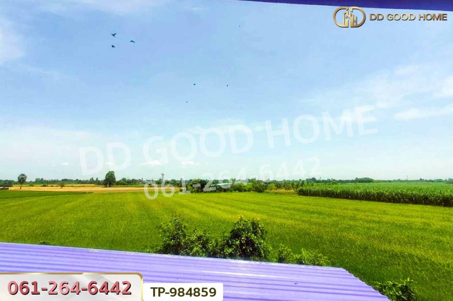 ที่ดินพร้อมสิ่งปลูกสร้าง 1 ไร่ 60 ตร.ว. ศรีประจันต์ สุพรรณบุรี ใกล้โรงพยาบาลศรีประจันต์-9