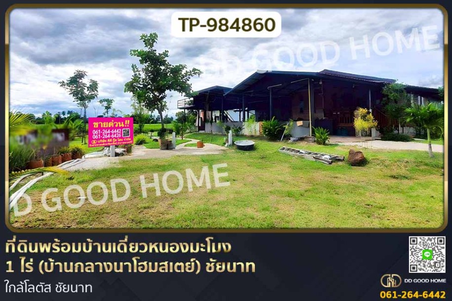 ที่ดินพร้อมบ้านเดี่ยวหนองมะโมง 1 ไร่ (บ้านกลางนาโฮมสเตย์) ชัยนาท ใกล้โลตัส ชัยนาท-1