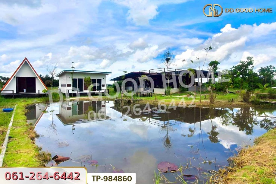 ที่ดินพร้อมบ้านเดี่ยวหนองมะโมง 1 ไร่ (บ้านกลางนาโฮมสเตย์) ชัยนาท ใกล้โลตัส ชัยนาท-3