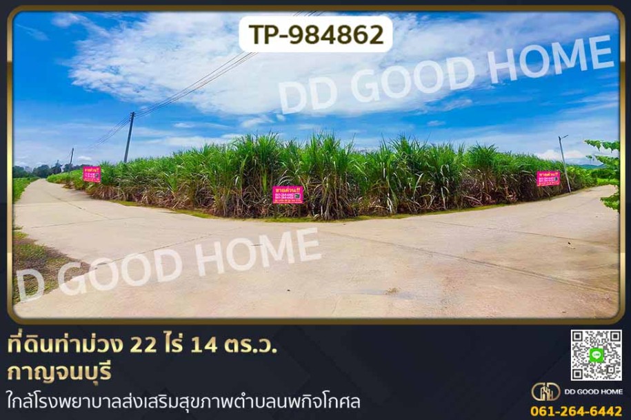 ที่ดินท่าม่วง 22 ไร่ 14 ตร.ว. กาญจนบุรี ใกล้โรงพยาบาลส่งเสริมสุขภาพตำบลนพกิจโกศล-1