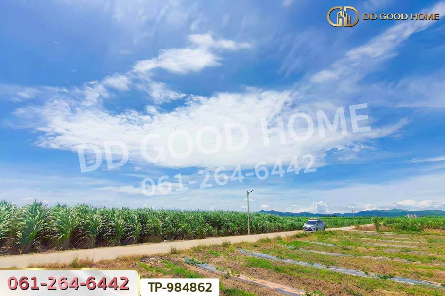 ที่ดินท่าม่วง 22 ไร่ 14 ตร.ว. กาญจนบุรี ใกล้โรงพยาบาลส่งเสริมสุขภาพตำบลนพกิจโกศล-9