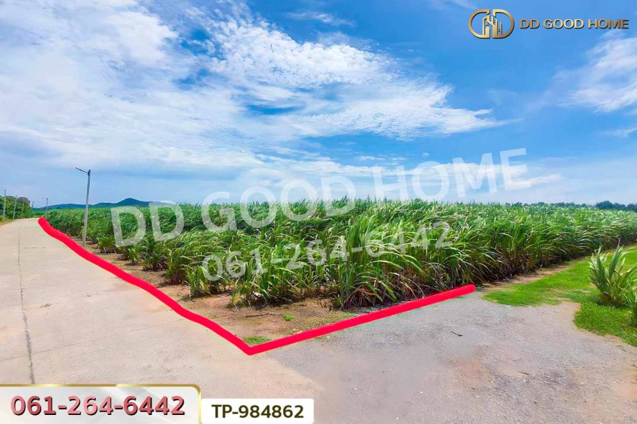 ที่ดินท่าม่วง 22 ไร่ 14 ตร.ว. กาญจนบุรี ใกล้โรงพยาบาลส่งเสริมสุขภาพตำบลนพกิจโกศล-8