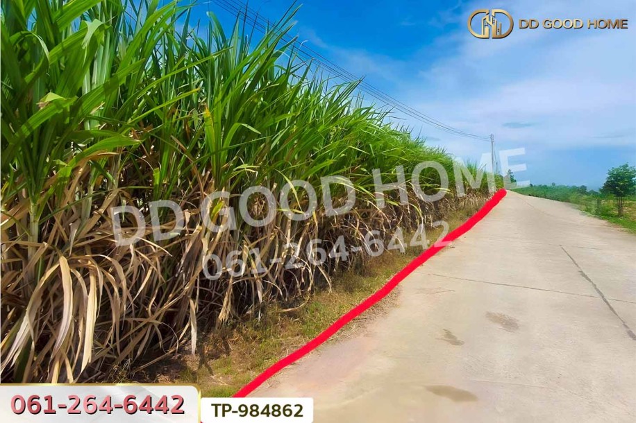 ที่ดินท่าม่วง 22 ไร่ 14 ตร.ว. กาญจนบุรี ใกล้โรงพยาบาลส่งเสริมสุขภาพตำบลนพกิจโกศล-6